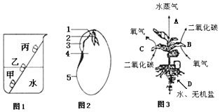 某生物兴趣小组欲探究某植物处于适宜且相对稳定的环境中,1小时内光合作用产生的氧气量及呼吸作用消耗的氧气量,设计了如图5装置进行实验 假设装符中的红墨水滴每移动1个单位