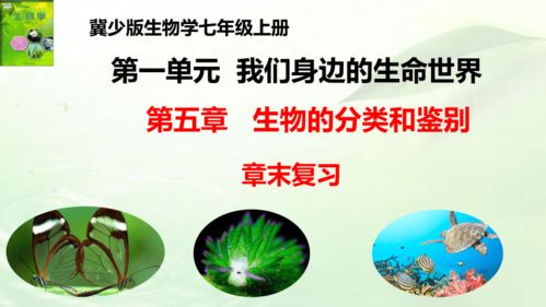 第五章 生物的分类和鉴别 章末复习课件 七年级生物上册同步精品课堂 冀少版 共18张ppt