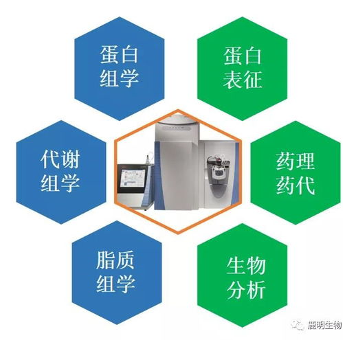 生物药表征检测 蛋白 多肽 临床前dmpk研究及生物分析,药物检测全通路