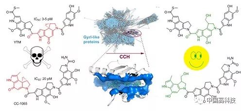 前沿科技 中科院科学家在高活性天然产物生物合成研究中发现新的自抗性机制