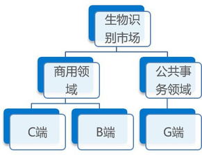 36 氪研究企业调研 生物识别企业 眼神科技