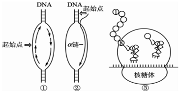 研究表明.水分子可以较快的通过水通道蛋白出入细胞且不需消耗能量.而甘油分子难以通过水通道蛋白.下列相关叙述错误的是( )A.水通道蛋白的物质具有选择性B.一种物质可能有多种跨膜运输方式C.水通道蛋白作用时所需的能量主要来自线粒体D.水通道蛋白结构改变后功能也可能发生改变 题目和参考答案